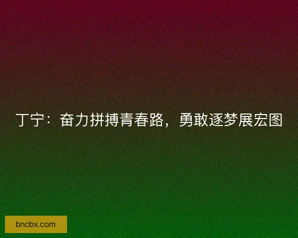 丁宁：奋力拼搏青春路，勇敢逐梦展宏图