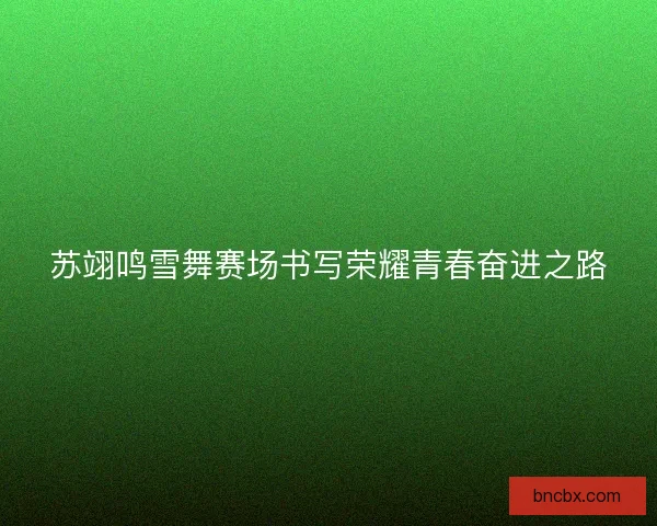 苏翊鸣雪舞赛场书写荣耀青春奋进之路