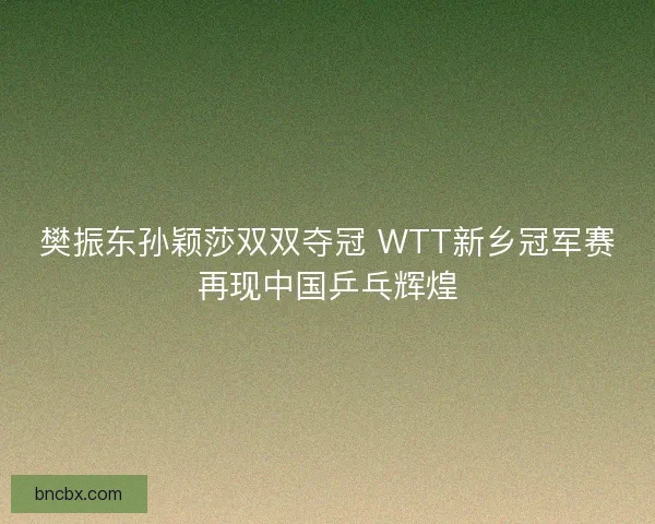 樊振东孙颖莎双双夺冠 WTT新乡冠军赛再现中国乒乓辉煌